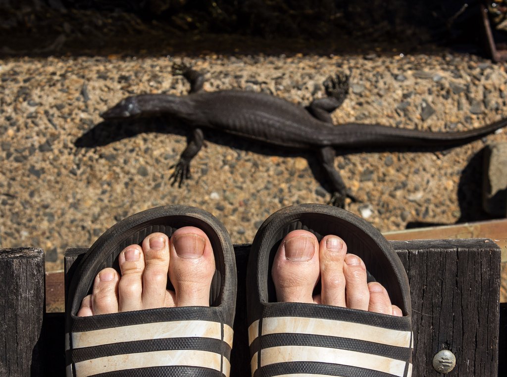 my feet and lizzy