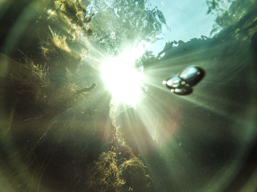from under the water